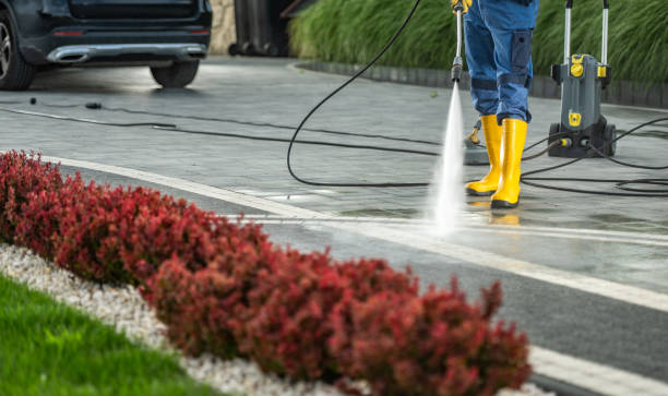 Best Sidewalk and Walkway Cleaning  in Great Falls, SC